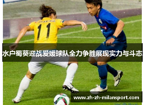 水户蜀葵迎战爱媛球队全力争胜展现实力与斗志